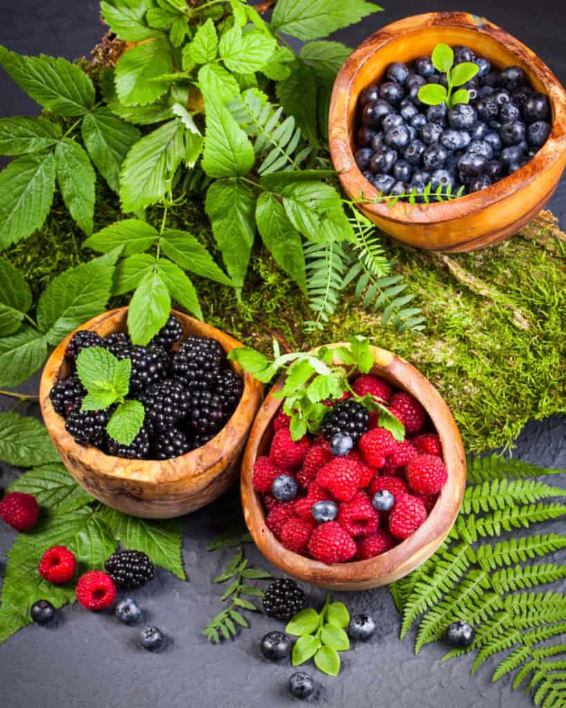 Top Superfoods for Smoothies: Your Cheat Code to Wellness